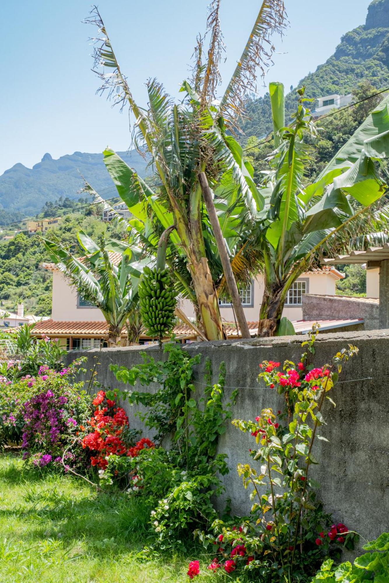 Sao Vicente Guest House Extérieur photo